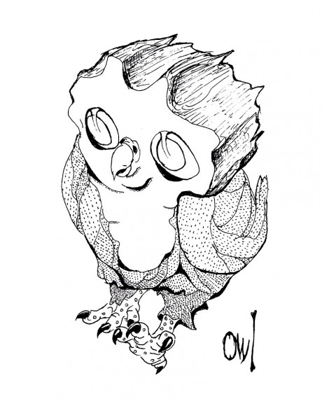 Owl Strut