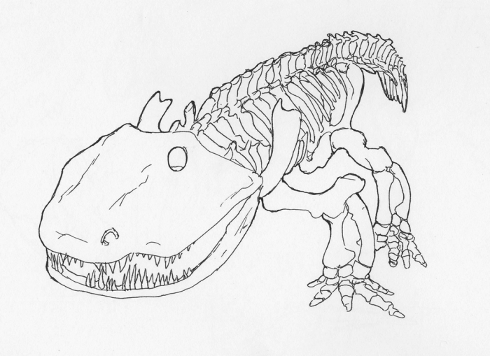 Eryops skeleton