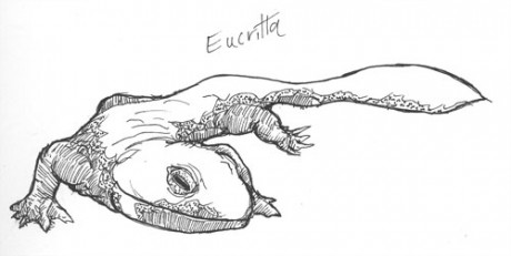 Just a Eucritta