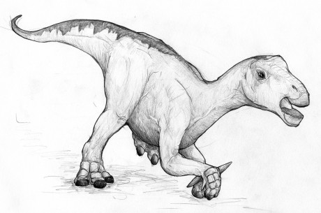 A slightly Quadruped Iguanodon